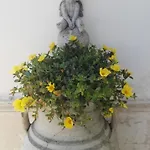 Bed & Breakfast Longo De Bellis 3*
